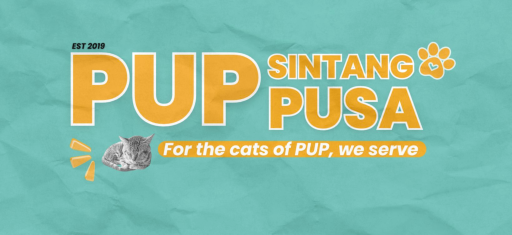 pawsinta banner