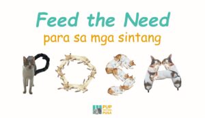 pusa in need