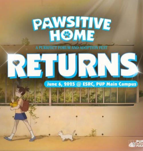 pawsitive home 1
